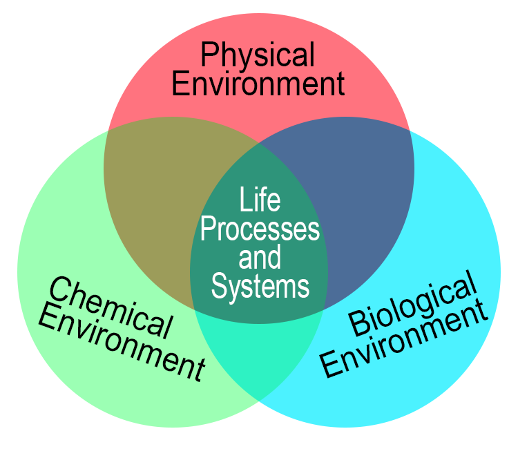 Physical Environment Components: The Essential Elements That Shape Our World
