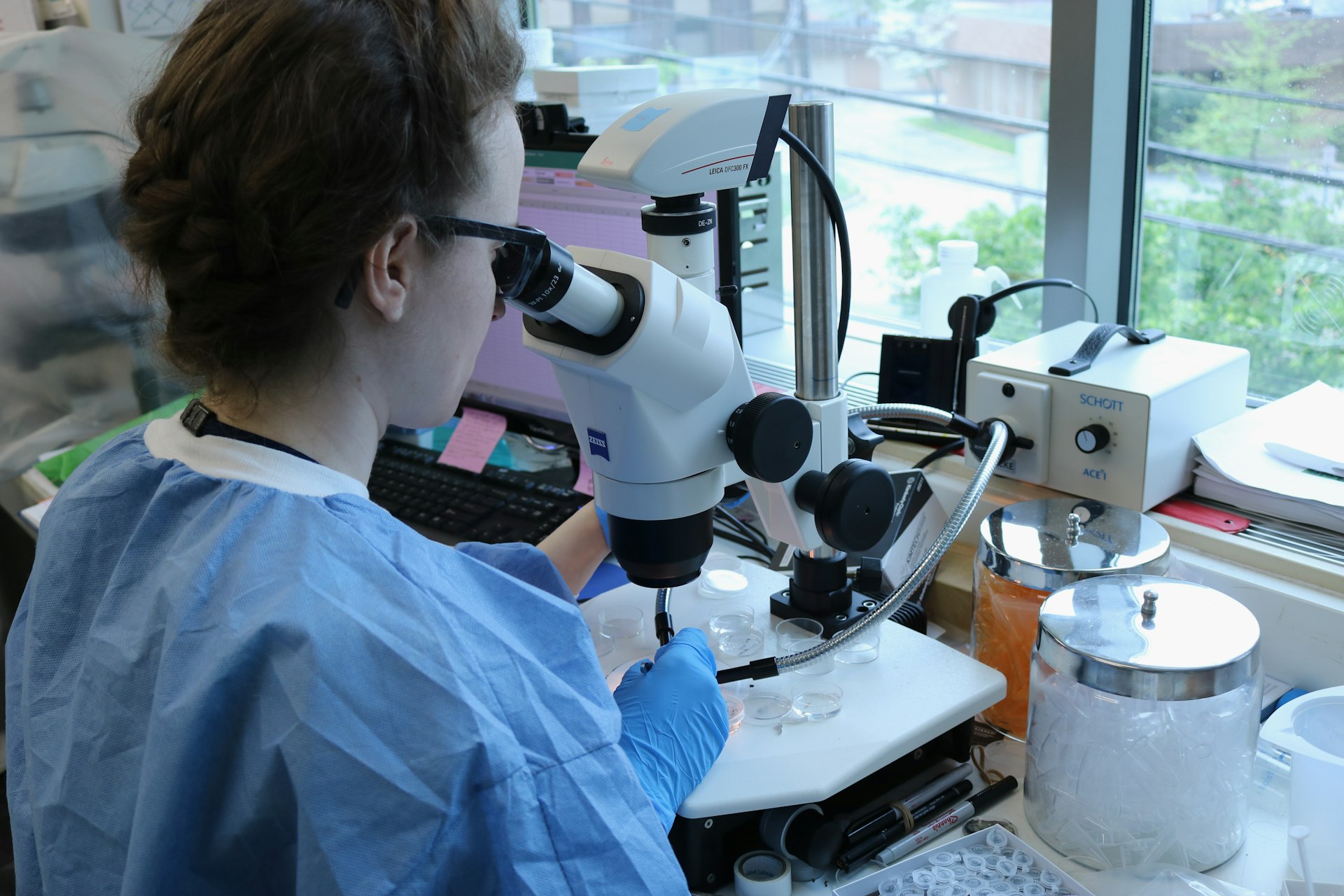 How Artificial Intelligence Is Transforming Drug Discovery and Testing